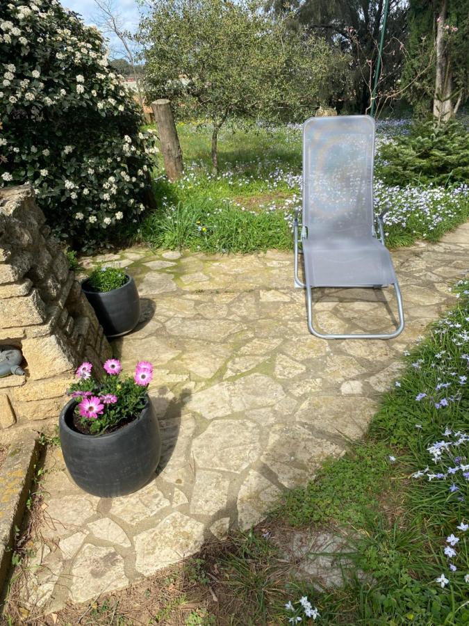 Studio Havre De Paix Au Pont Du Gard Piscine Et Jacuzzi Chez Valerie Payre Vers Pont du Gard Bagian luar foto